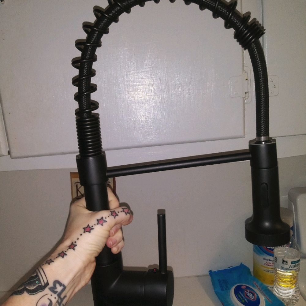 Brand new kitchen faucet set.